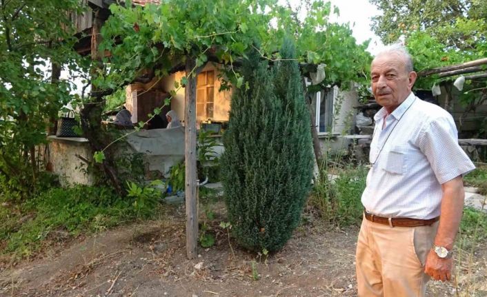 Bahçesine sürekli geyik giren vatandaş çaresiz