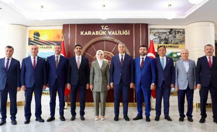 Bakan Göktaş: "Balıkesir’de Bin 87 vatandaşımıza 143 personelimizle psikososyal destek ve çeşitli destekler sağladık"