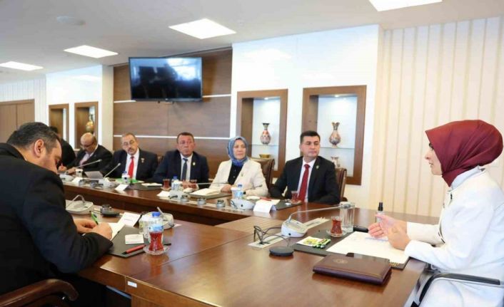 Bakan Göktaş: "Şehitlerimizin aziz hatırasını yaşatmak vazifemiz"