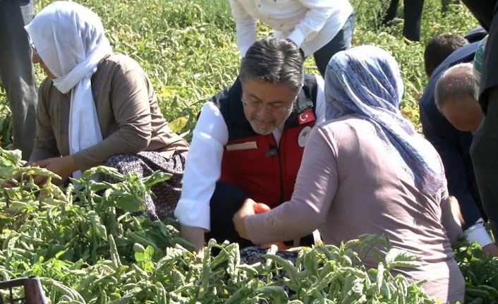Bakan Yumaklı: "Türkiye domates üretiminde dünyada 3’üncü sırada"