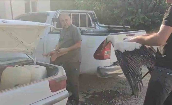 Balçığa saplanan leyleğin imdadına balıkçılar yetişti
