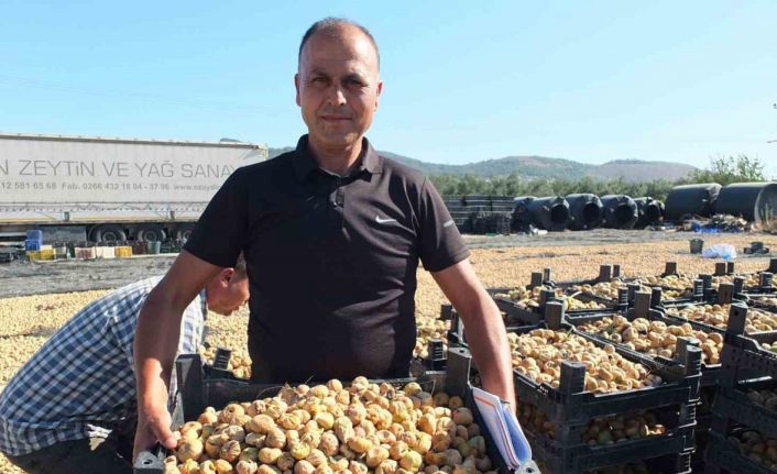 Balıkesir’ de Havran ilçesi incir de Aydın’a rakip oldu