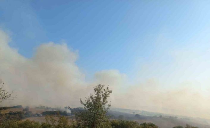 Balıkesir’de arazi yangını