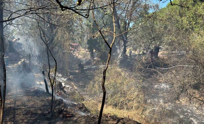 Balıkesir’de kırsal alanda çıkan yangın kısa sürede söndürüldü