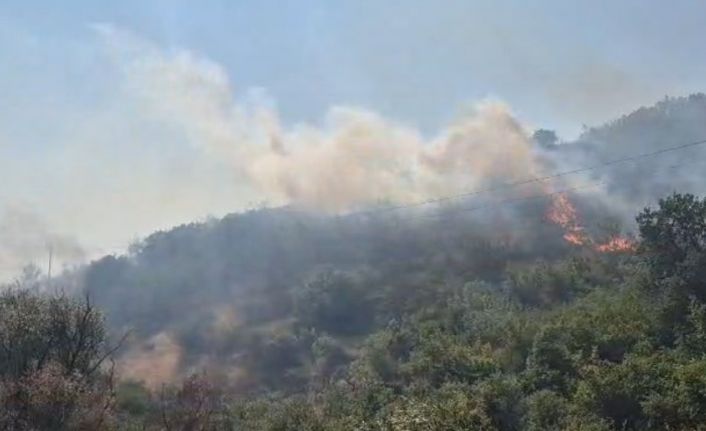 Balıkesir’de otluk ve makilik alanda çıkan yangın kontrol altına alındı