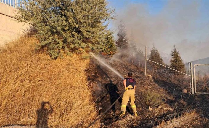 Balıkesir’de otoyol kenarında ot yangını korkuttu