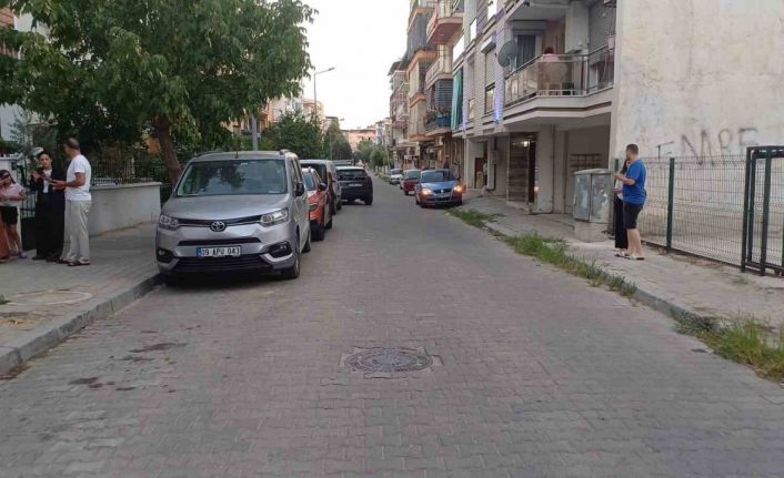 Balıkesir’deki deprem Aydın’da da hissedildi