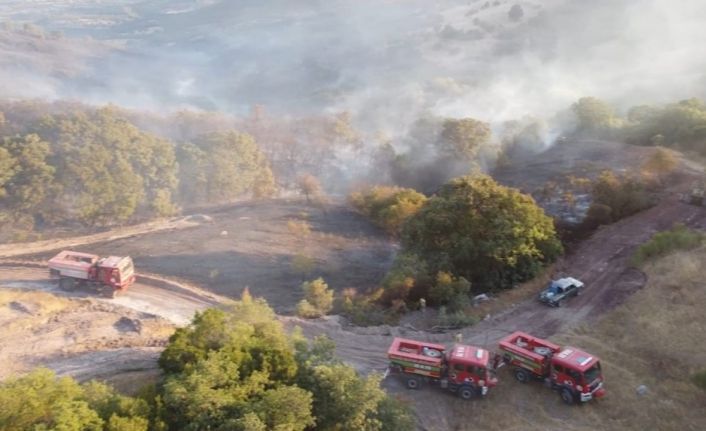 Balıkesir’deki orman yangını kontrol altına alındı