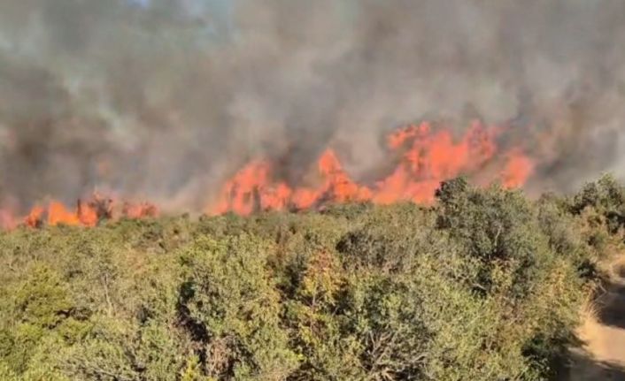 Balıkesir’deki orman yangınına müdahale sürüyor