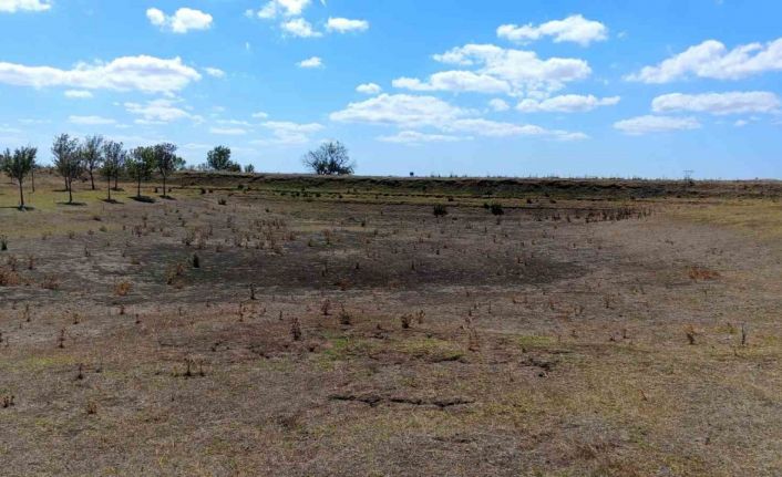 Ballıhoca Sulama Göleti kurudu