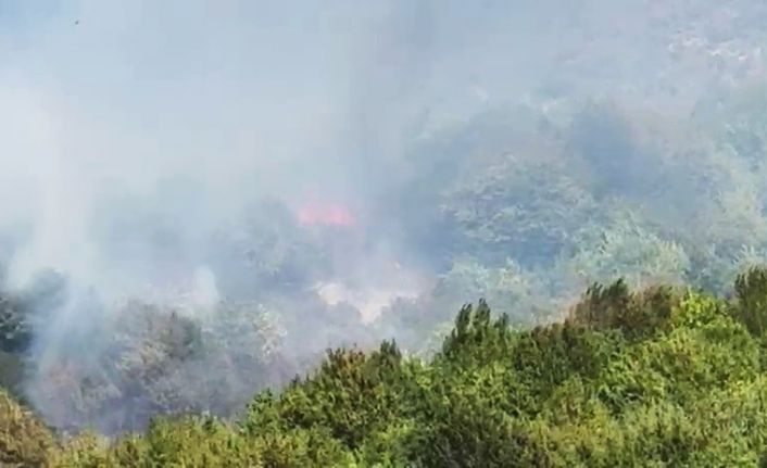 Bartın’da orman yangını çıktı