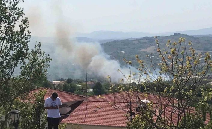 Bartın’da peş peşe yangınlar çıktı