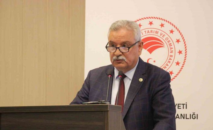 Başkan Kendirlioğlu: "İncir ağaçları tescillenmeli"