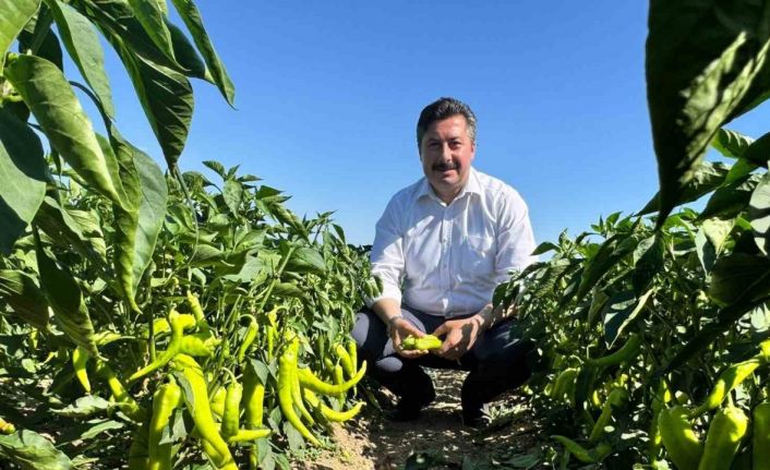 Başkan Özel’den tarım işçilerine ziyaret