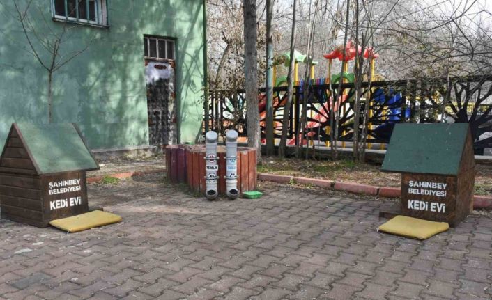 Başkan Tahmazoğlu: "Sıcak havalar hayvanları da olumsuz etkiliyor"