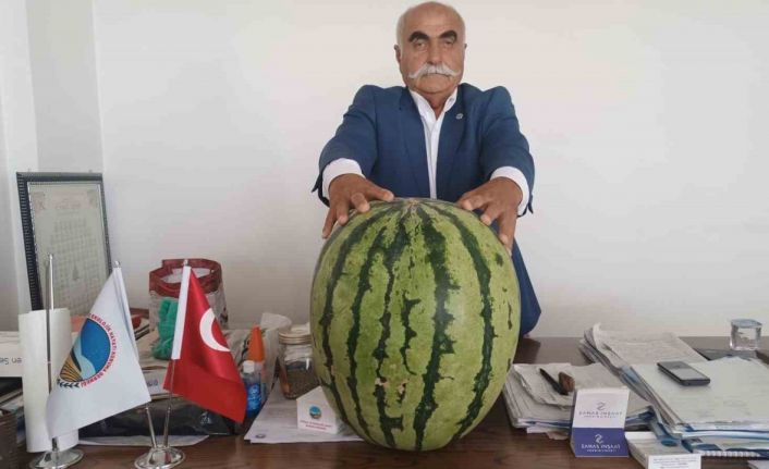 Batman’da 45 kiloluk karpuz dikkat çekti