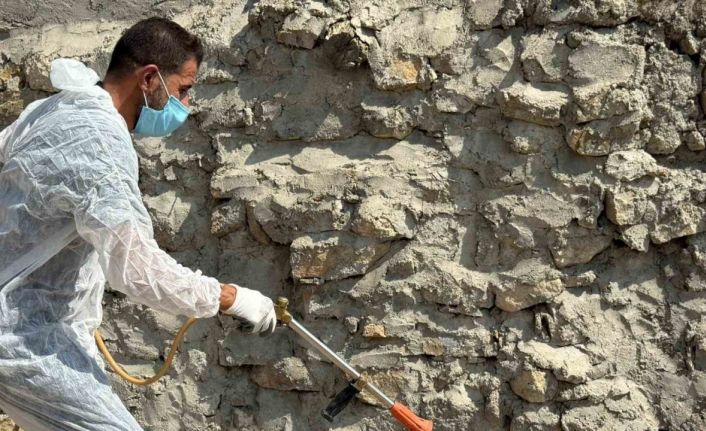 Batman’da akreplerin istila ettiği köyde ilaçlama yapıldı