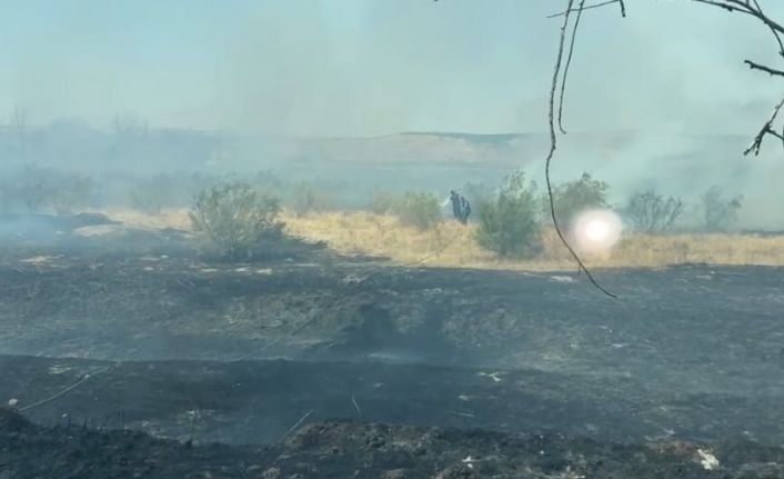 Batman’da anız yangınında 100 dönüm alan zarar gördü