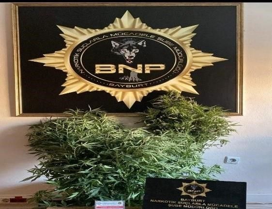 Bayburt’ta birçok adrese eş zamanlı narkotik operasyonu yapıldı