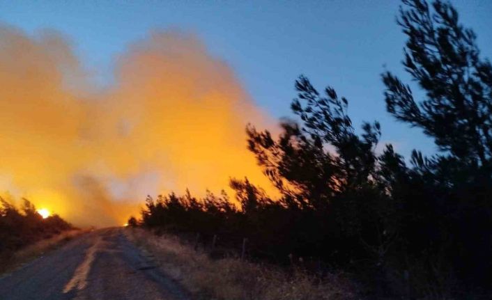 Bayramiç’teki yangını söndürme çalışmaları aralıksız sürüyor