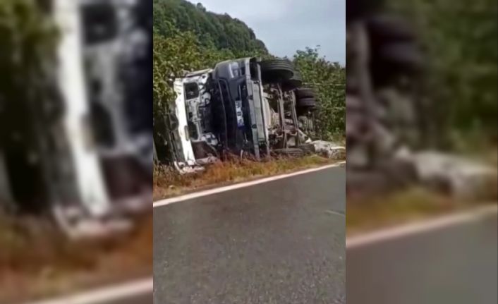 Beton mikseri fındık tarlasına devrildi: Sürücü yaralandı