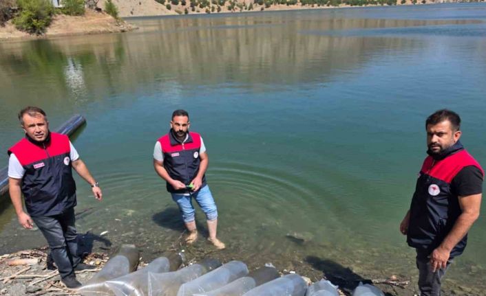 Beyhan Baraj Gölü’ne 50 bin yavru balık bırakıldı