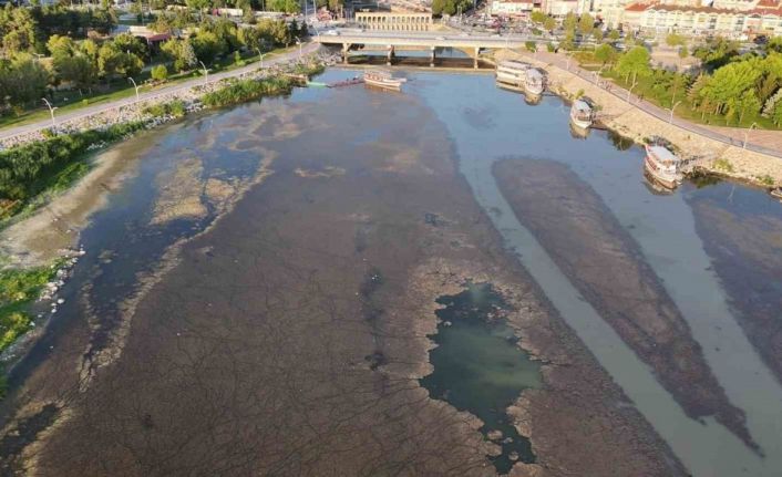 Beyşehir Gölü’nde sular çekildi, yeni adalar ortaya çıktı