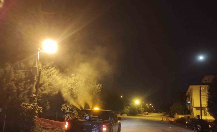 Bilecik Belediyesi’nden ilaçlama çalışması