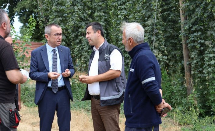 Bilecik’te şerbetçi otu incelemesi: Türkiye’de sadece Pazaryeri’nde yetişiyor