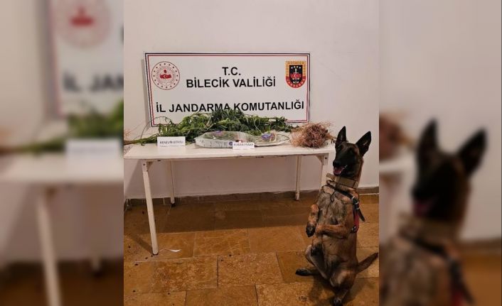 Bilecik’te uyuşturucu operasyonu