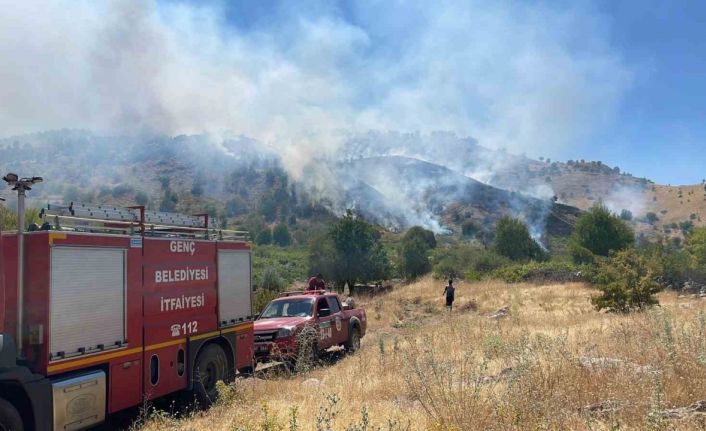 Bingöl’de köyde çıkan yangın ormana sıçradı, müdahale sürüyor