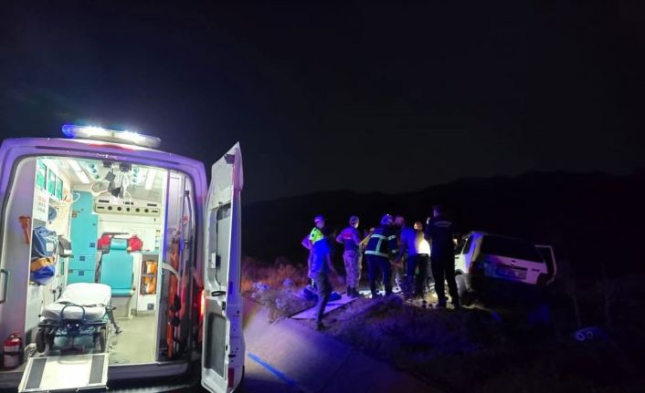 Bingöl’de otomobil ata çarptı: 2 yaralı