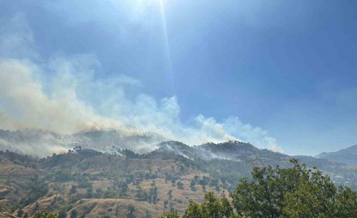 Bingöl’deki orman yangını kontrol altına alındı