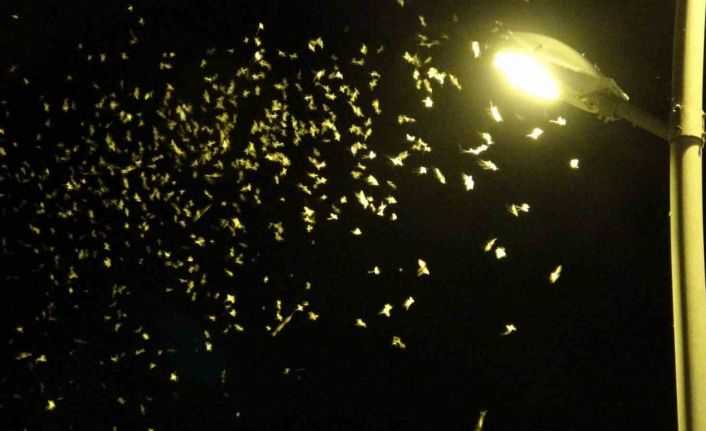 ’Bir günlükler’in ölüm uçuşu geç başladı