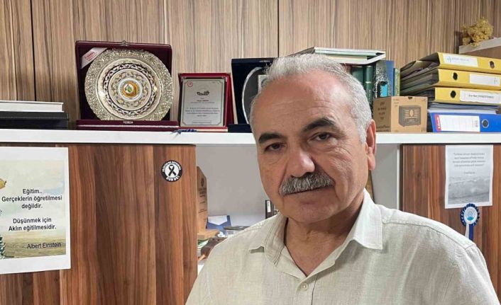 Bir şehir efsanesi: "Kozalak patlaması"