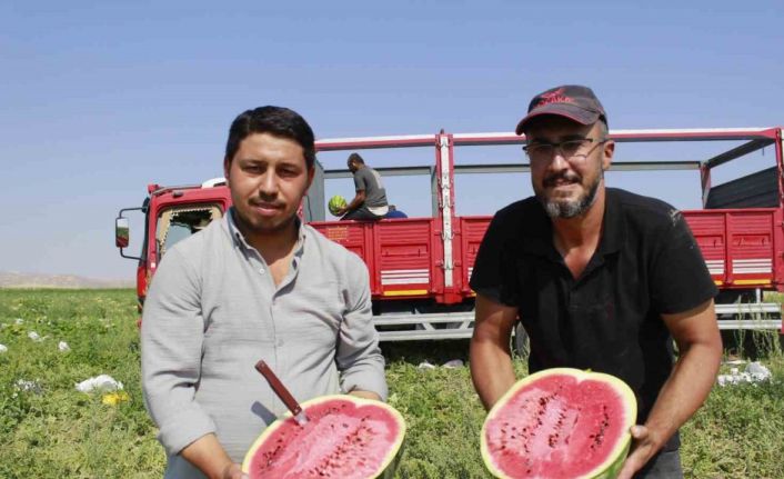 Birçok şehirde karpuz hasadı sona yaklaşırken, Yozgat’ta hasat yeni başladı