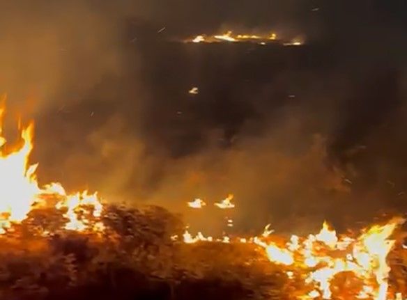 Bitlis’te örtü yangını