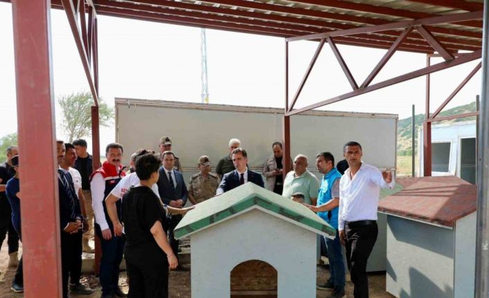 Bitlis’teki hayvan barınağı ve doğal yaşam alanı çalışmaları