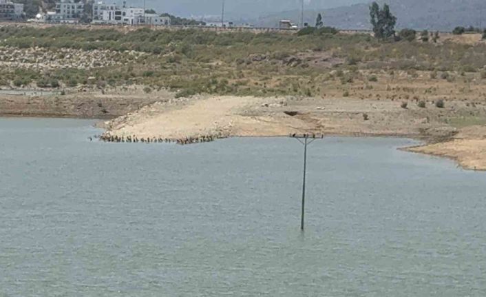 Bodrum’da su alarmı: "Barajlar kritik seviyeye geriledi"