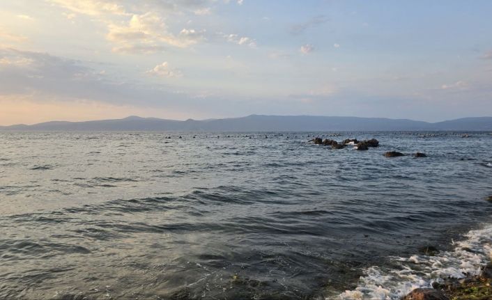 Boğulduğu sanılan dalgıç, yüzerek çıktı