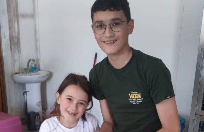 Bolu’da 10 sahipsiz sokak hayvanı yeni yuvasına kavuştu