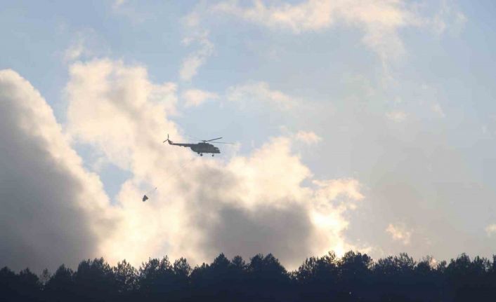 Bolu’da çıkan orman yangını kontrol altına alındı