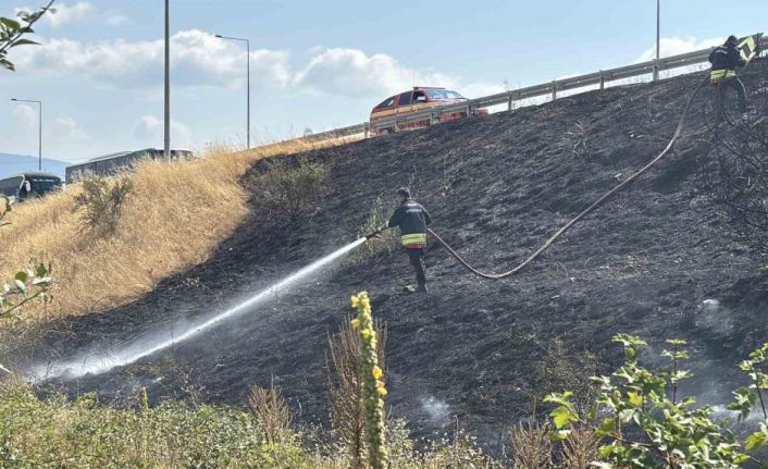 Bolu’da gişelerin girişinde otluk alanda yangın