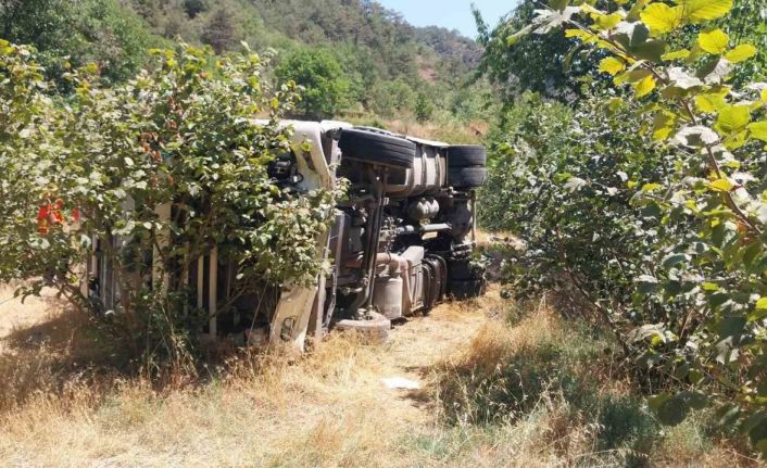 Bolu’da kontrolden çıkan tır fındık bahçesine devrildi