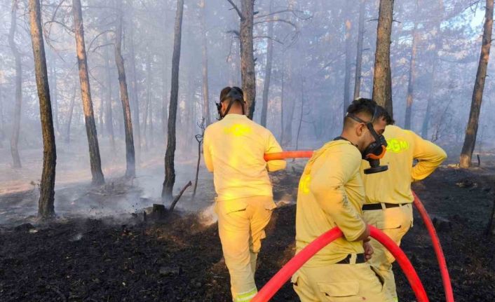 Bolu’da küle dönen 20 hektar ormanda, soğutma çalışması sürüyor