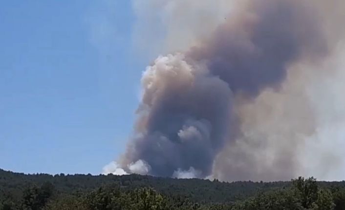 Bolu’da orman yangını başladı