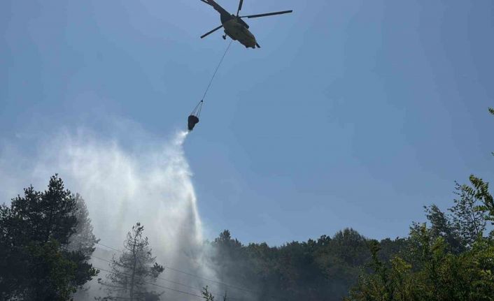 Bolu’da ormanlık alanda çıkan yangın büyümeden söndürüldü