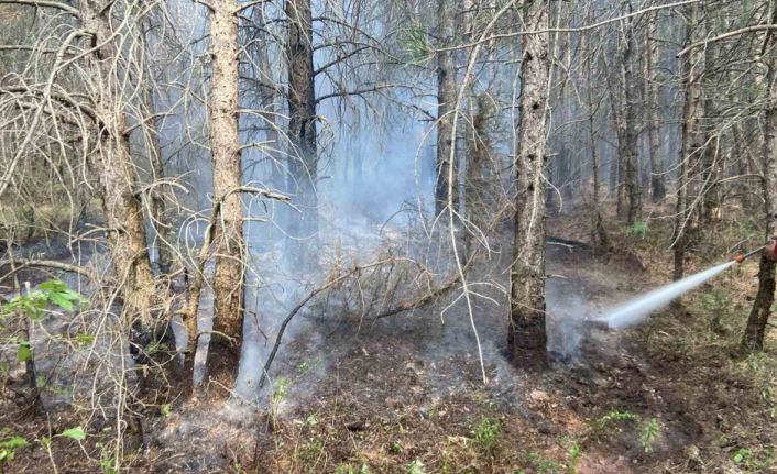 Bolu’da ormanlık alanda çıkan yangın kontrol altına alındı