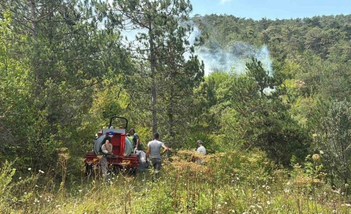 Bolu’da ormanlık alanda yangın başladı