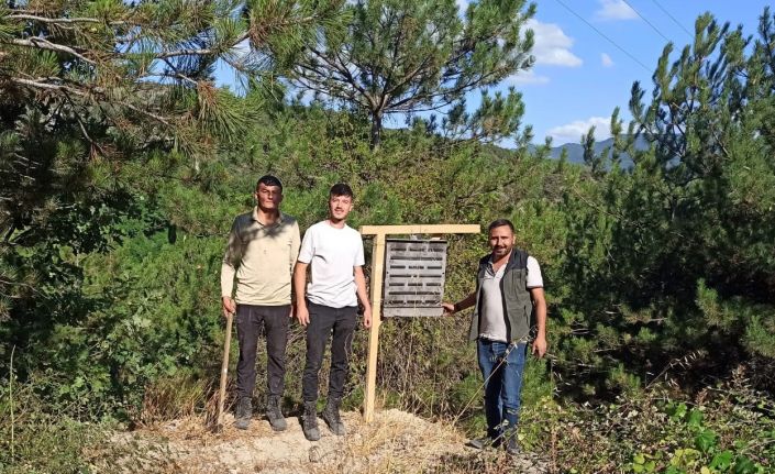 Bolu’da yanan ormanlık alanlara feromon tuzakları asıldı